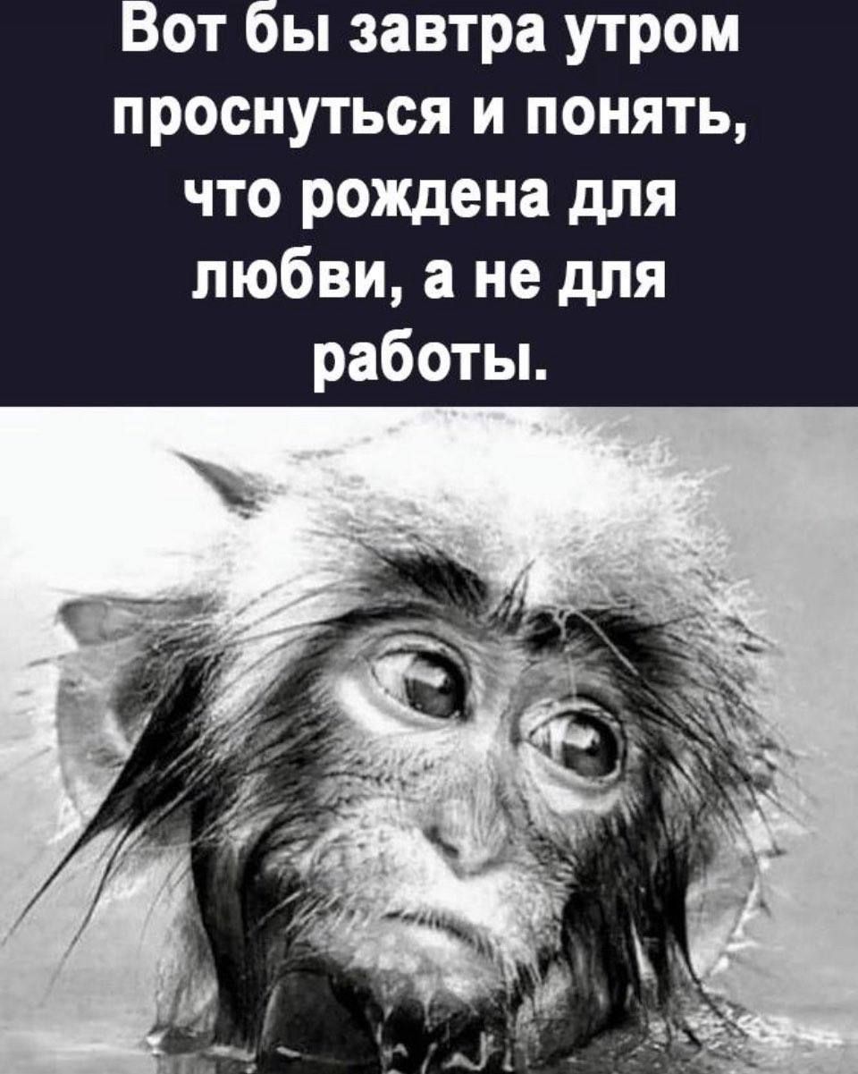 от ы завтра утром проснуться и понять что рождена для любви а не для работы