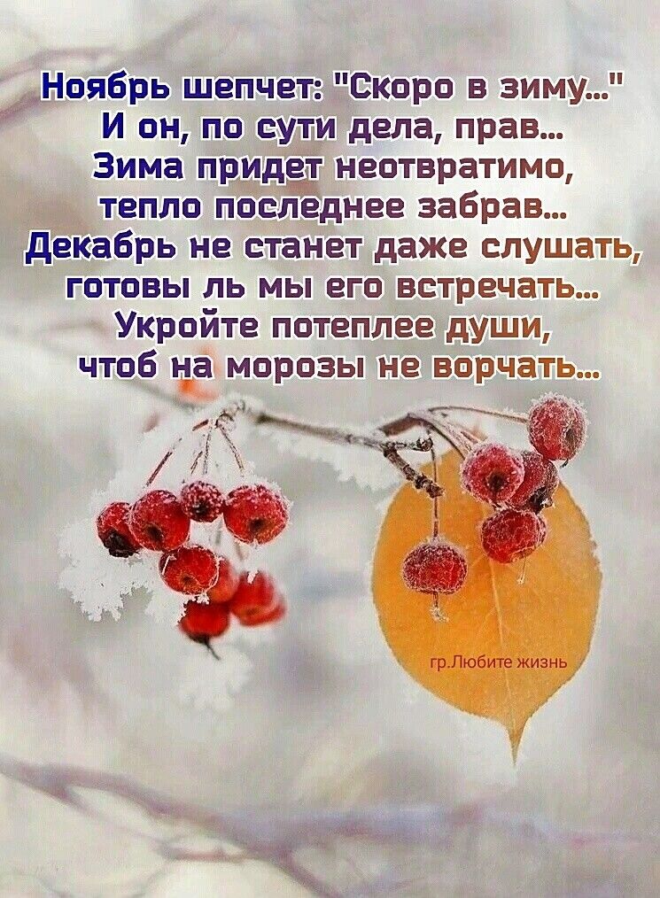 Ноябрь шепчет Скоро в зиму И он по сути дела прав Зима РИдЗЕ неотвратимо тепло последнее забрав декабрь не станет даже слушать готовы пь мы его встречать Укройте потеплее души чтоб ча морозы не ворчать