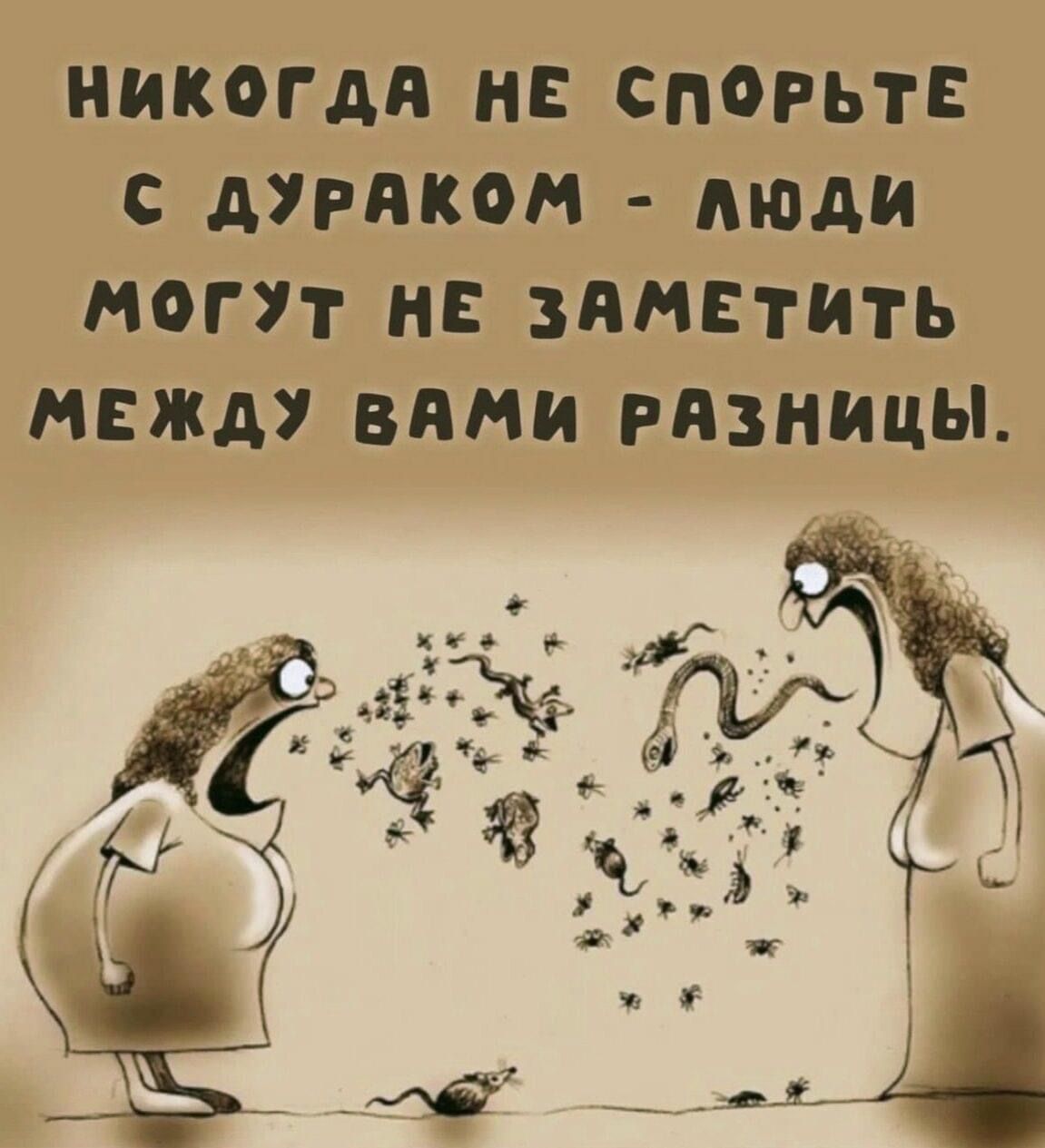 НИКОГДА НЕ СПОРЬТЕ С АРЛКОМ АШАН МОГУТ НЕ ЗЯМЕТИТЬ МЕЖДУ ВАНИ РЯЗНИЦЫ