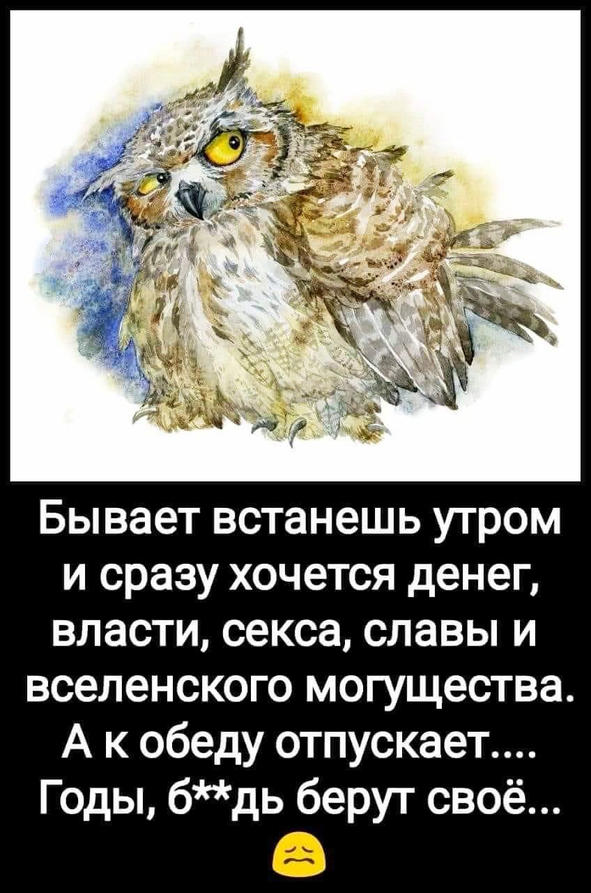 Бывает встанешь утром и сразу хочется денег власти секса славы и вселенского могущества А к обеду отпускает Годы бдь берут своё В