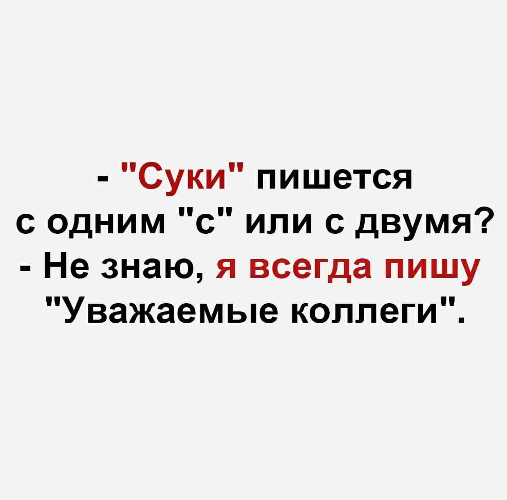 Суки пишется с одним с или с двумя Не знаю я всегда пишу Уважаемые коллеги