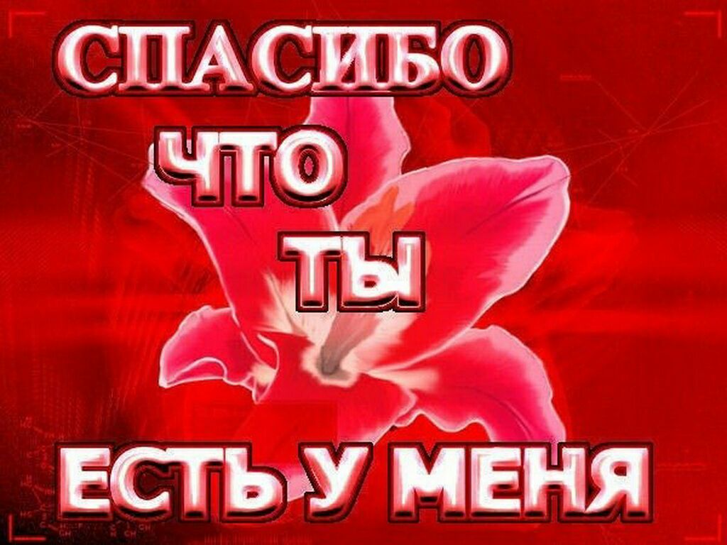 ЕСТЬУ МЕНЯ