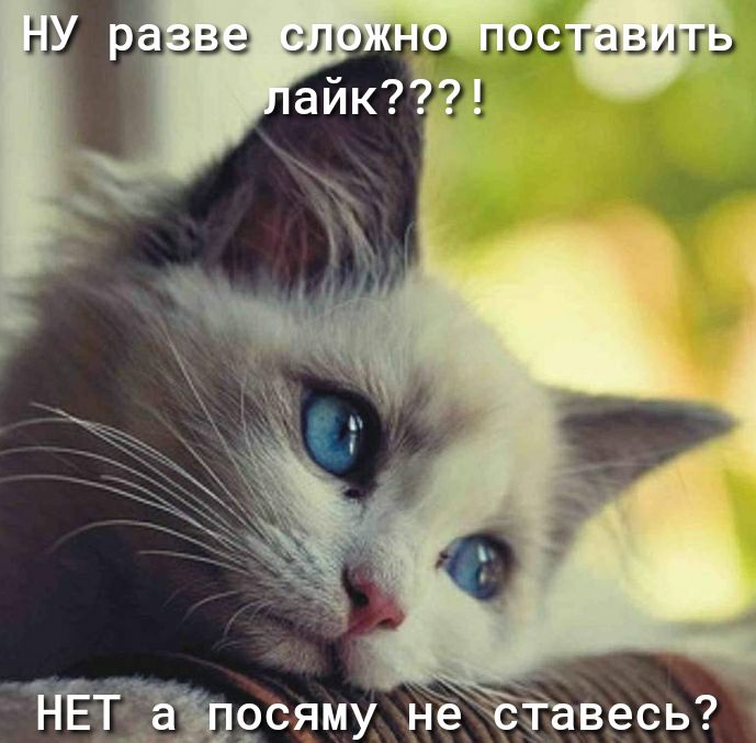 д о _сяму не в весь