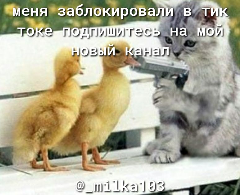 Чтеня заблоъіЪроВа 0 _