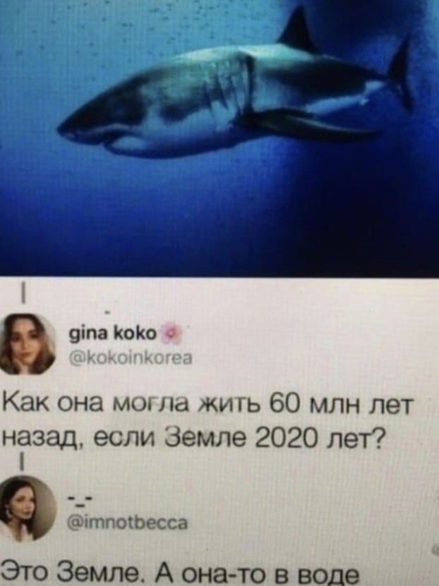 9іпа КоКо Как она могла жигь 60 млн лет назад если Земле 2020 лет птпоіоесса Это Земле Аонато в воде