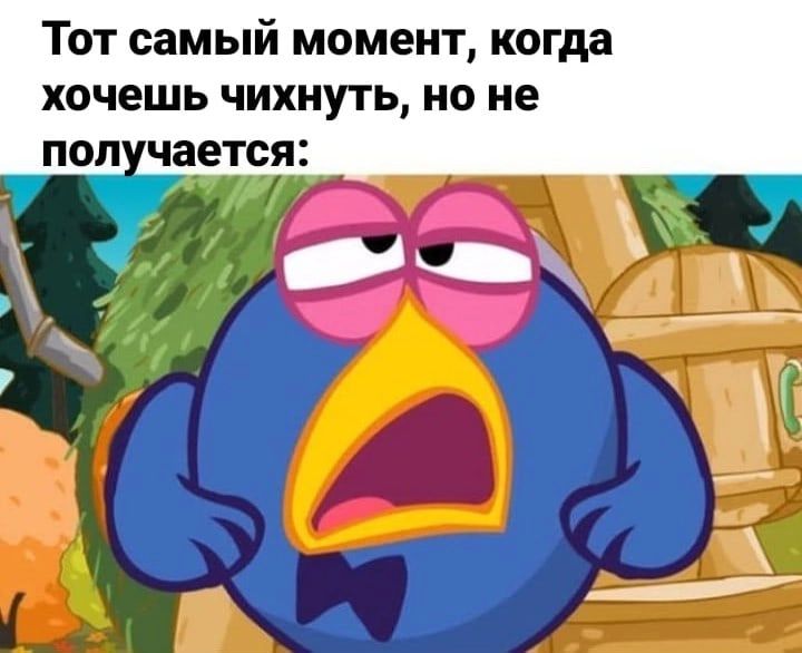 Тот самый момент когда хочешь чихнуть но не пол _ Ёетоя
