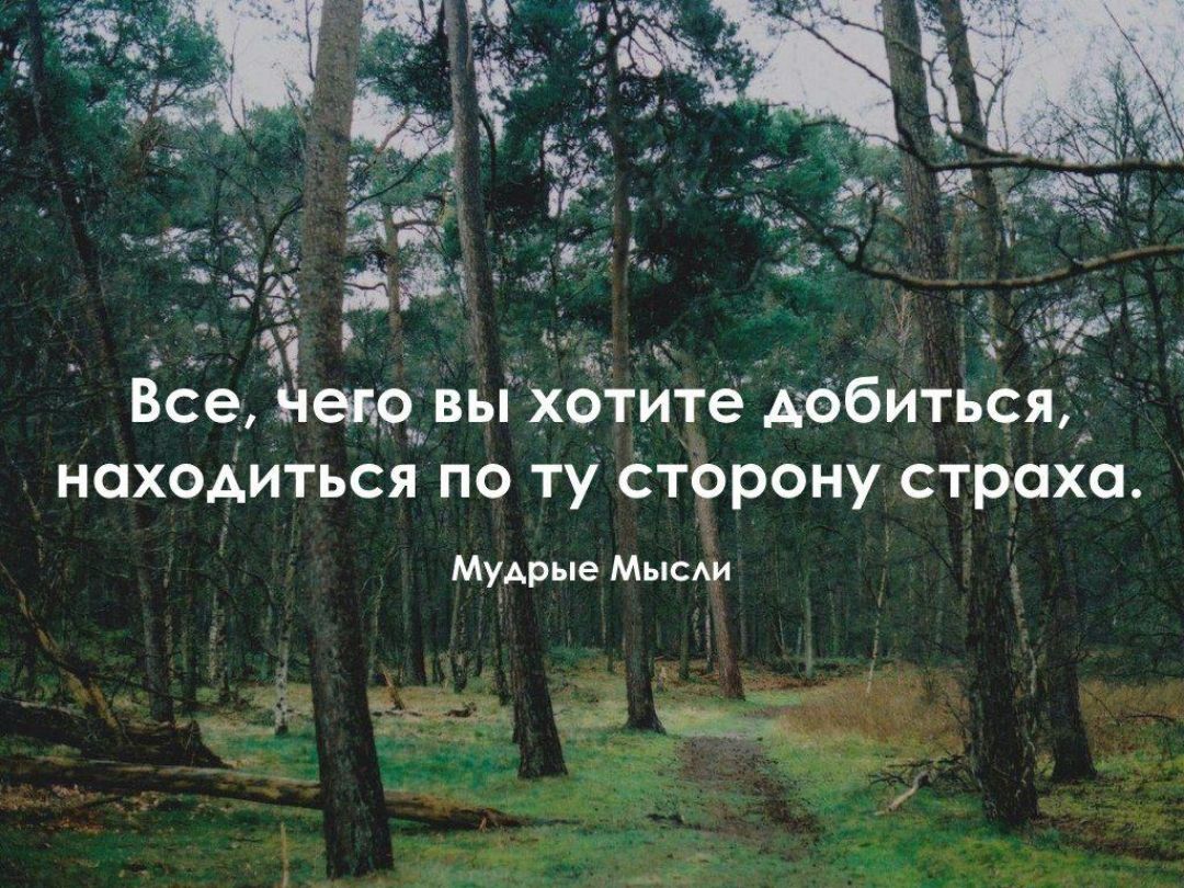 Все дето вы Хотите Дёбиться находйться по ту стёрону страхО Мудрые Мыси