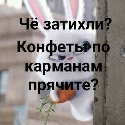 Чё затих  'конёёты : кармана еч   щ
