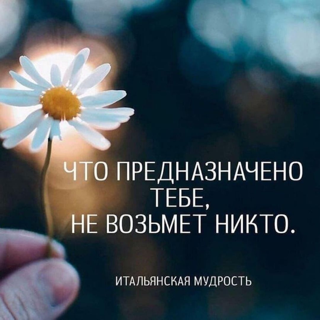 СО ПРЕДНАЗНАЧЕНО ТЕБЕ НЕ ВОЗЬМЕТ НИКТО ИТАЛЬЯНСКАЯ МУДРОСТЬ