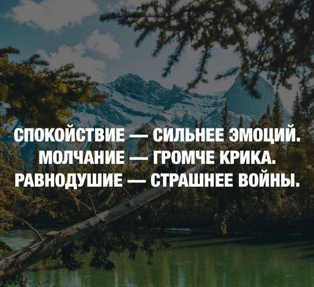 спокойствие сильные эмоций молчАнив громчв крикд рдвнодушив стрдшныг войны