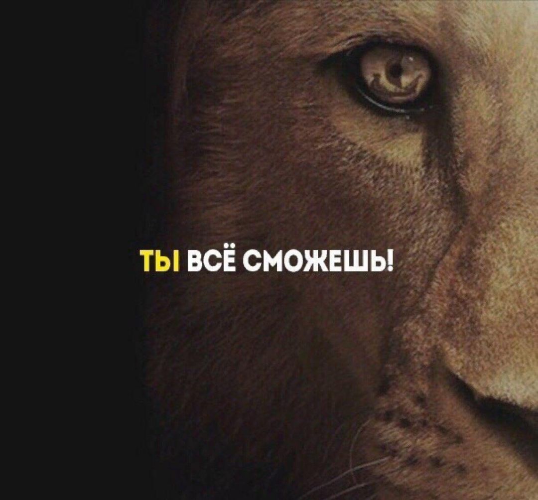 ты все сможешь