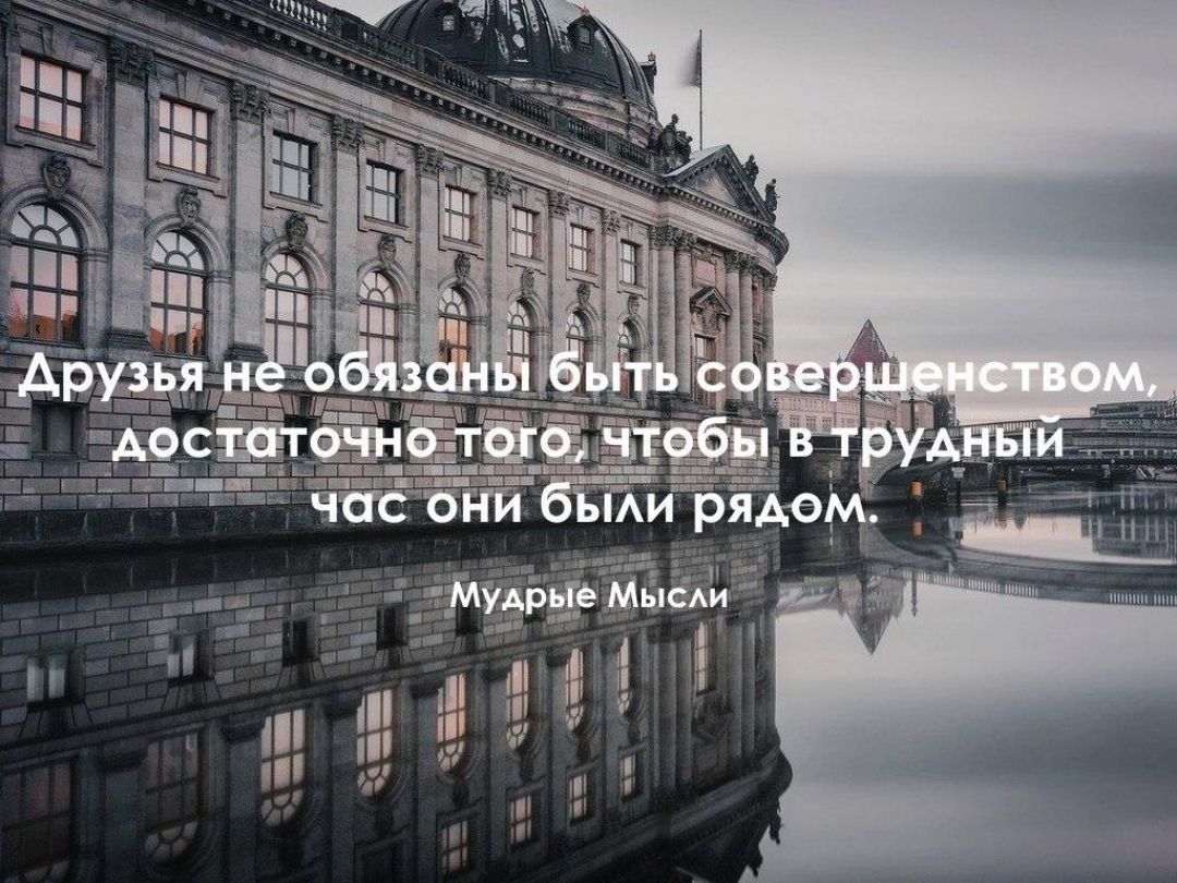 шпиц