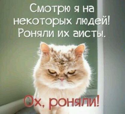 Смотрю я над некоторых пюд Роняпи их аистЁя