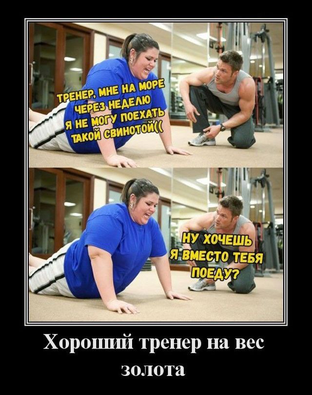 Х0р0шші тренер на вес золота