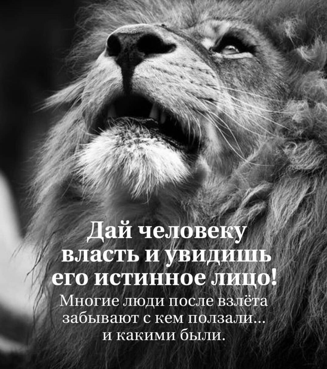 МнОгие люди после взде забывают с кем пёлзалш и какими были
