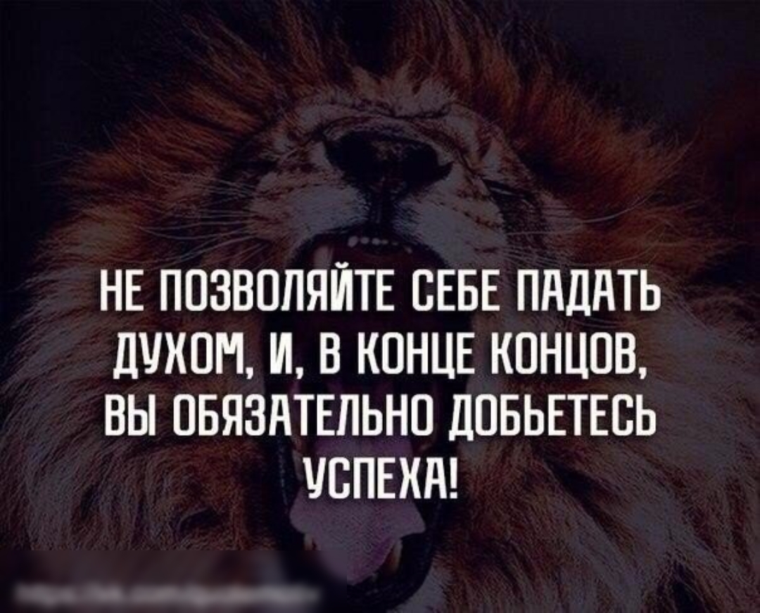 НЕ ПОЗВППЯЙТЕ СЕБЕ ПНДНТЬ дШПМ И В КОНЦЕ КПНЦПВ ВЫ ПБЯЗНТЕПЬНП ЛПБЬЕТЕЕЬ ЮПЕХН