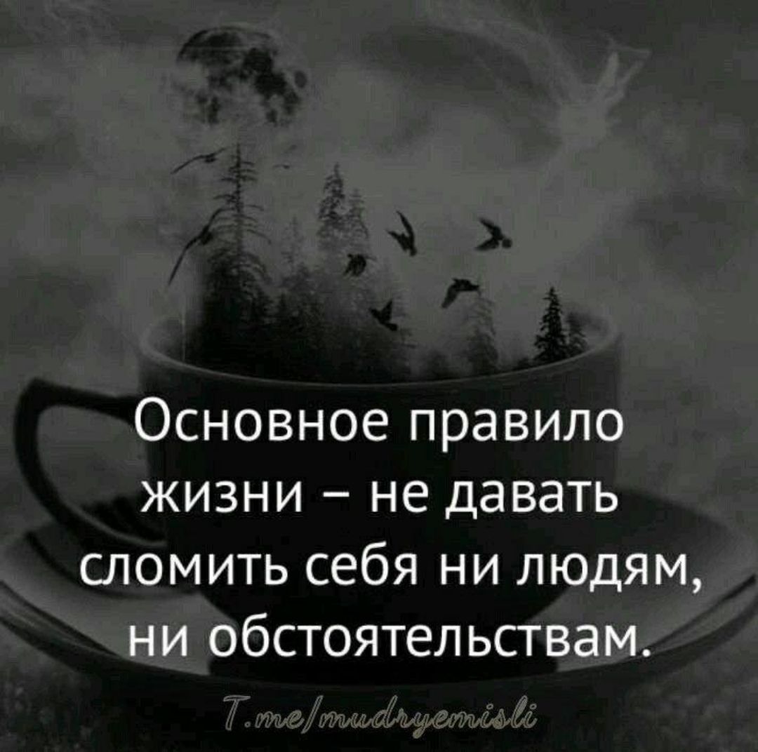 Основное правило жизни не давать сломить себя ни людям ни обстоятельствам