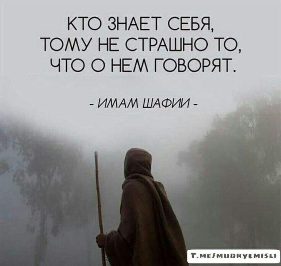 КТО ЗНАЕТ СЕБЯ ТОМУ НЕ СТРАШНО ТО ЧТО О НЕМ ГОВОРЯТ ИМАИ ШАФИИ