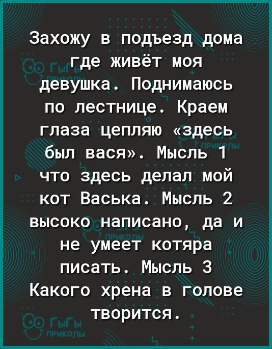 Захожу в подъезд дома где живёт моя девушка Поднимаюсь по лестнице Краем глаза цепляю здесь был вася Мысль 1 что здесь делал мой кот Васька Мысль 2 высоко написано да и не умеет котяра писать Мысль 3 Какого хрена в голове творится