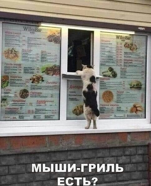 МЫШИ ГРИПЬ ЕСТЬ