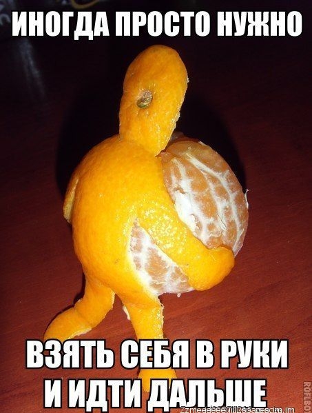 ШШШ просто ШШШ _ ВЗЯТЬ ВЕБ В РУКИ И Идти д