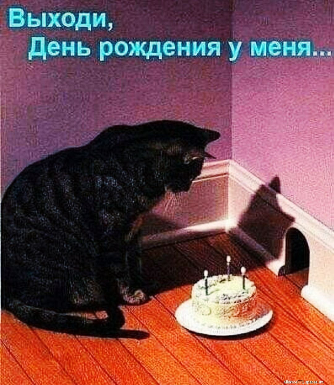 Выходи день рождения у