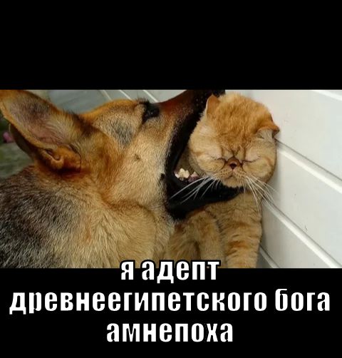 45 _ я адепт дпевнеегипетсиою 60 НМНБПШШ
