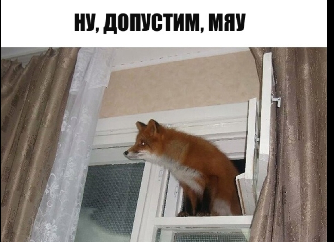 допустим МПУ