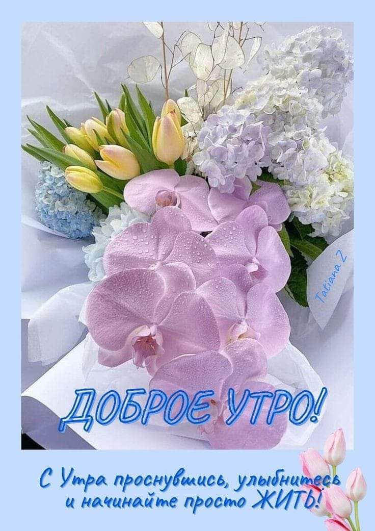 СУ см и мода т шиизма