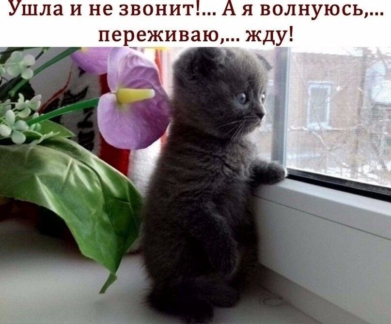 Ушла и не звонит А я волнуюсь переживаю жду