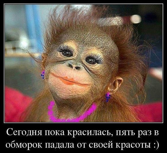Сегодня пока красилась пять раз В обморок падала от своей красоты