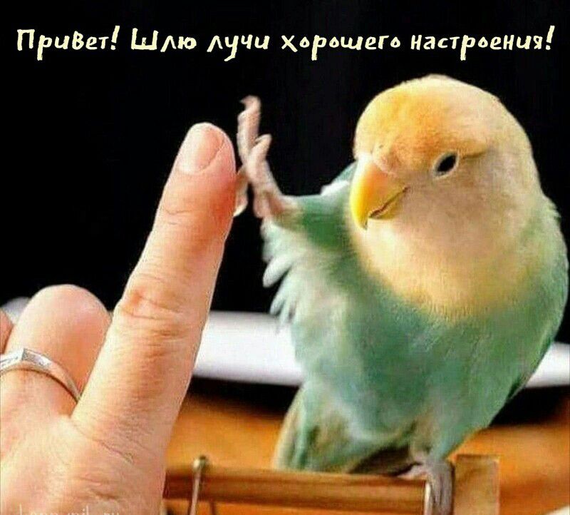 ПрцВет Шлю лучи хорошего настроения