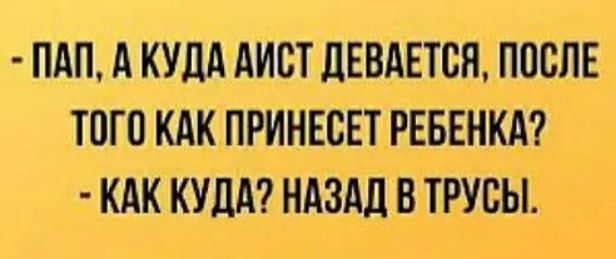 ПАП А КУДА АИСТ ДЕВАЕТСЯ ПОСЛЕ ТПГО КАК ПРИНЕСЕТ РЕБЕНКА КАК КУДА НАЗАД В ТРУБЫ