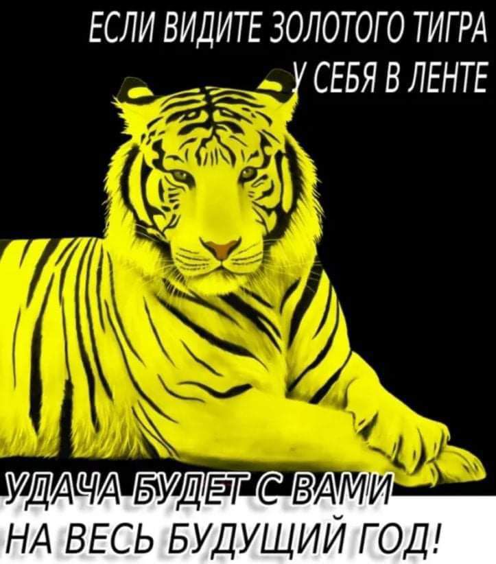 ЕСЛИ ВИДИТЕ ЗОЛОТОГО ТИГ РА У СЕБЯ В ЛЕНТЕ УДАЧА БУДЁТ С ВАМИ НА ВЕСЬ БУДУЩИИ ГОД