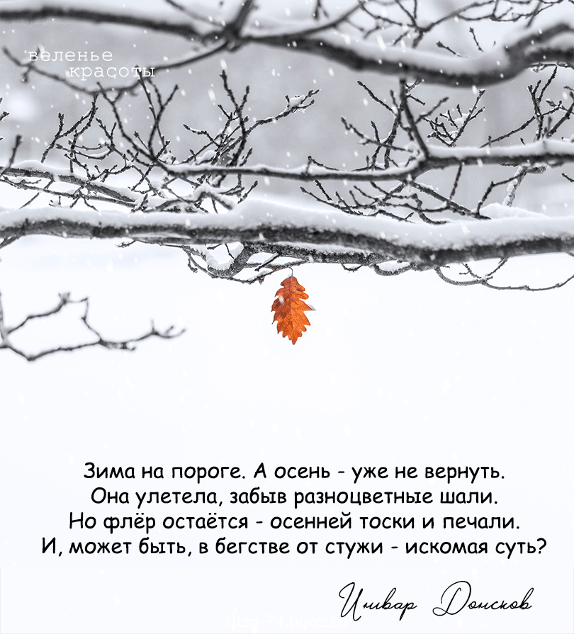 Зима на пороге А осень уже не вернуть Оно улетела забыв разноцветные шали Но флёр остаётся осенней тоски и печали И может быть в бегстве от стужи искомая суть
