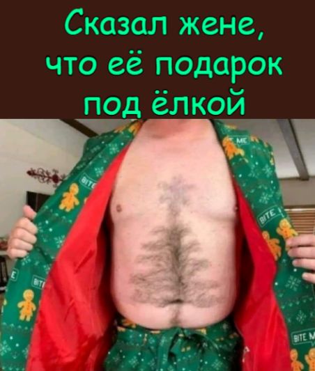 Сказал жене что её подарок под ёлкой