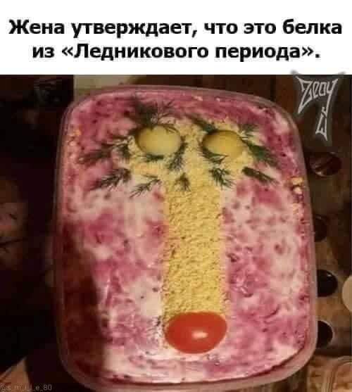 Жена утверждает что это белка из Ледникового периода 257
