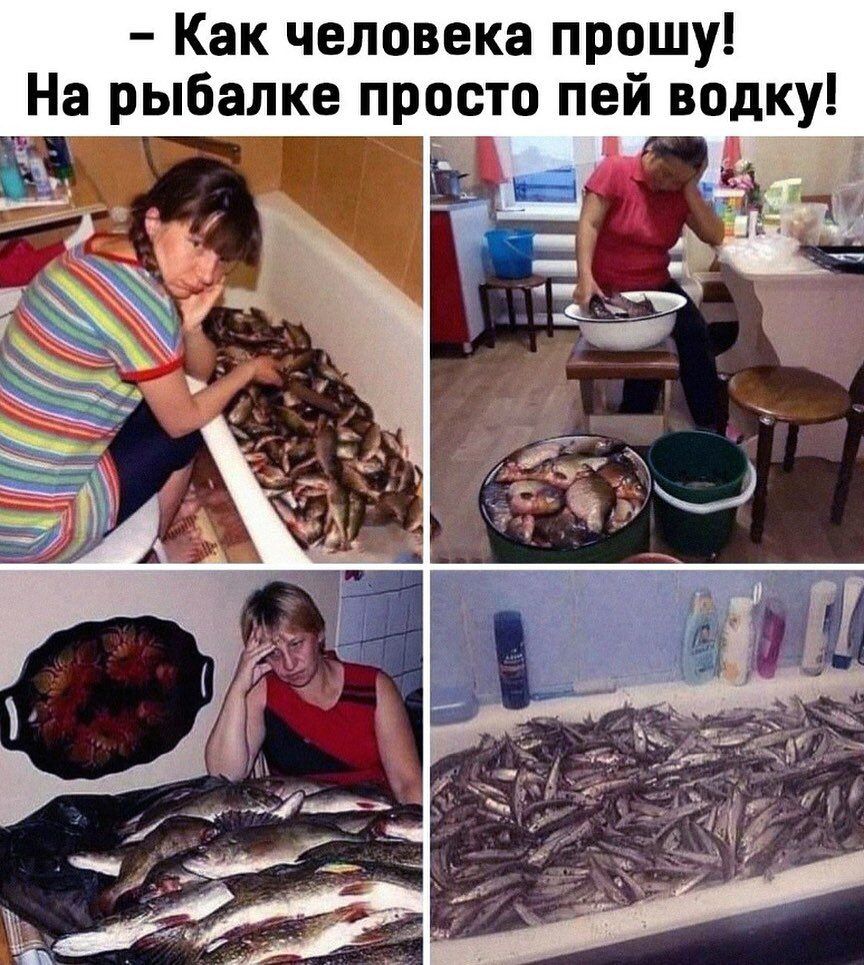 Как человека прошу На рыбалке просто пей водку
