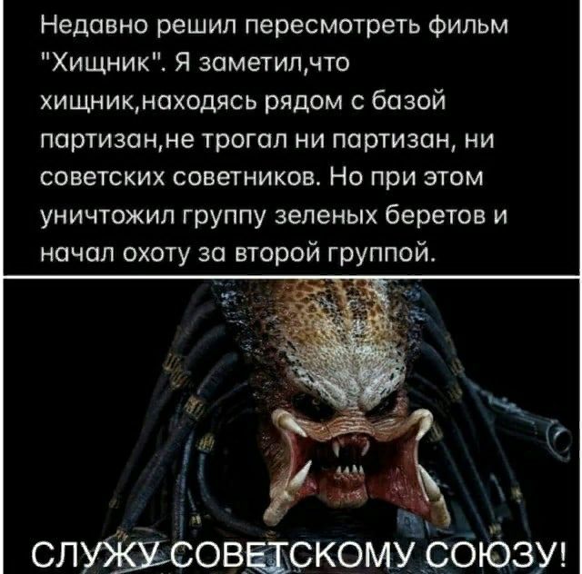 Недавно решил пересмотреть фильм Хищник Я заметипчто хищникноходясь рядом с базой партизонне трогал ни партизан ни советских советников Но при этом уничтожил группу зеленых беретов и й группой слуіізіьсоваскомусбіёзш