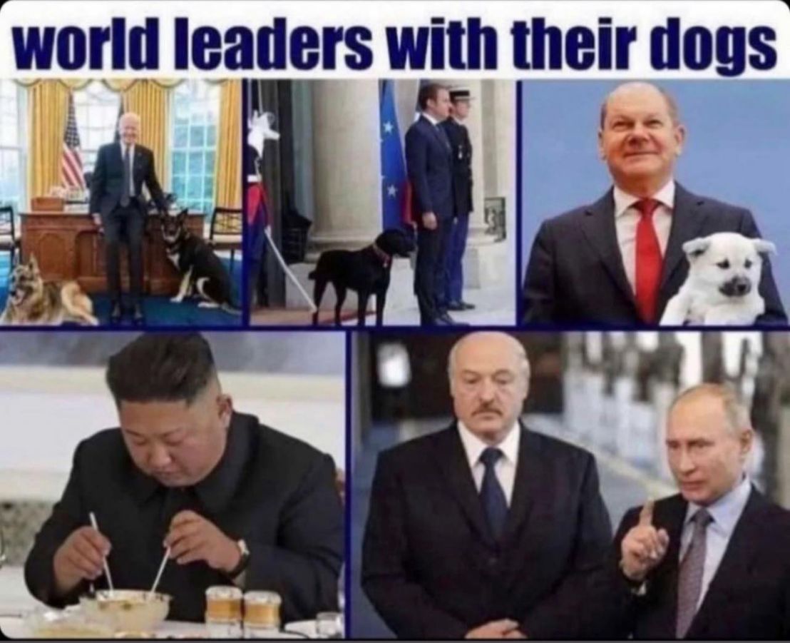 88п8г1шт 1е!г 1095
