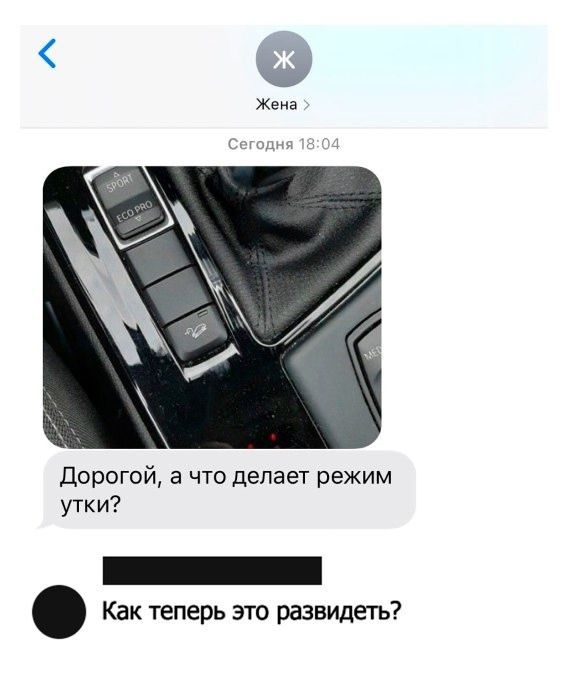 Я Жена Сегодня Дорогой а что делает режим утки Как теперь это разнидеть