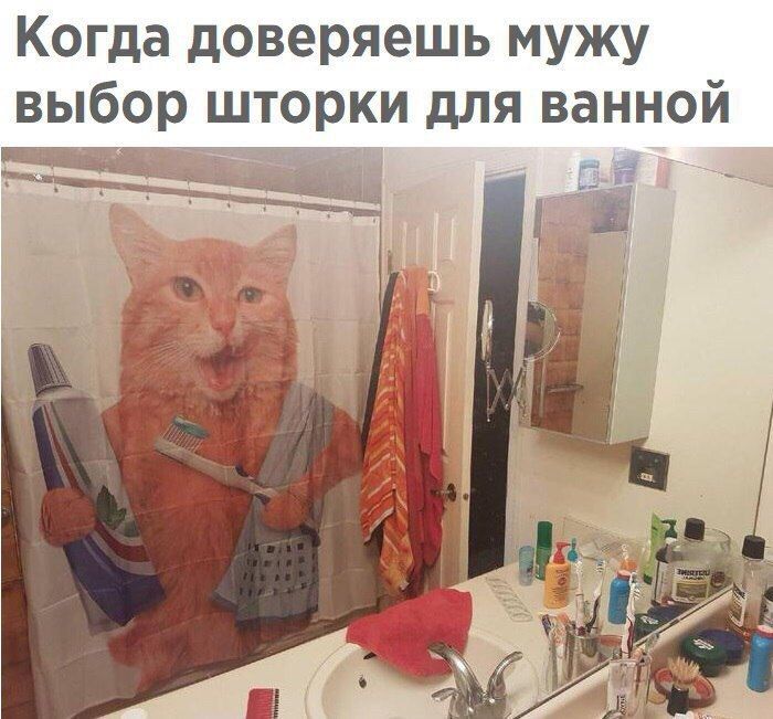 Когда доверяешь мужу выбор шторки для ванной ШТ