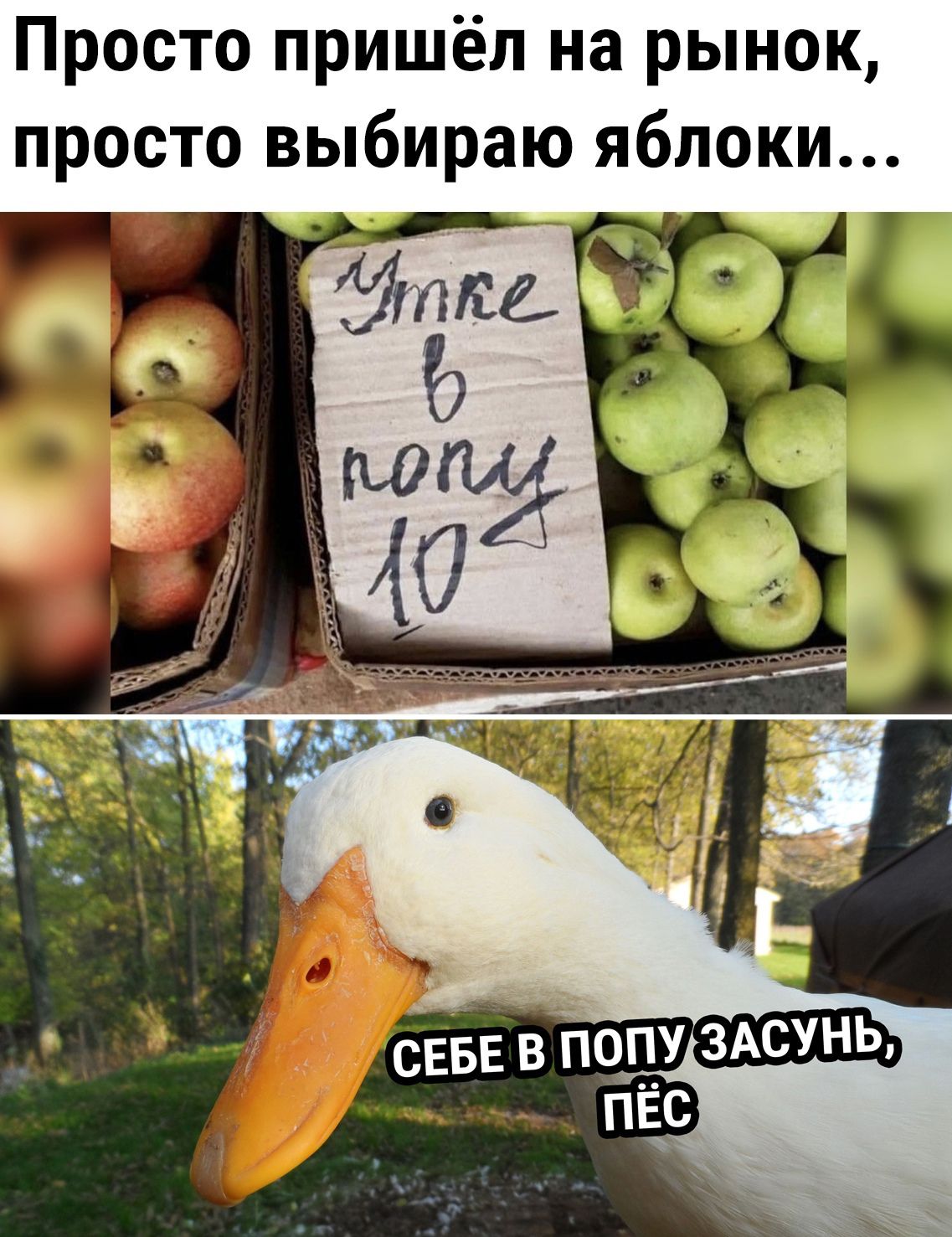 Просто пришёл на рынок просто выбираю яблоки _