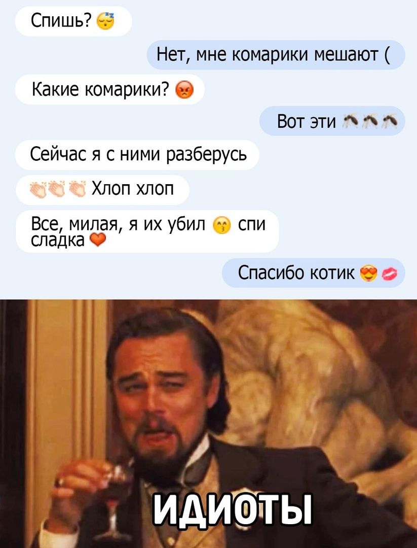 Спишь Нет мне комарики мешают Какие комарики Вот эти Сейчас я с ними разберусь Хлоп хлоп Все милая я их убил спи сладка Спасибо котик _