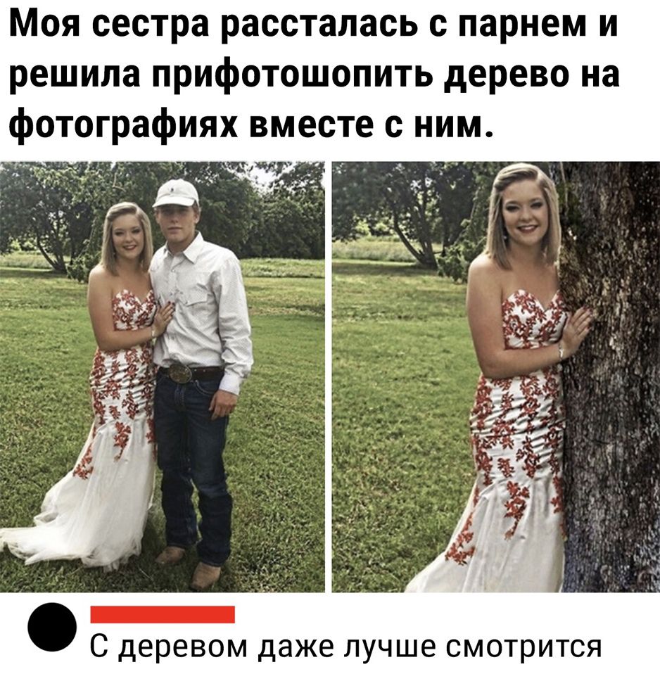 Моя сестра рассталась с парнем и решила прифотошопить дерево на фотографиях вместе с ним тг __ С деревом даже лучше смотрится