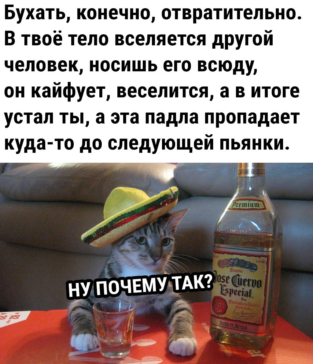 Бухать конечно отвратительно В твоё тело вселяется другой человек носишь его всюду он кайфует веселится а в итоге устал ты а эта падла пропадает куда то до следующей пьянки