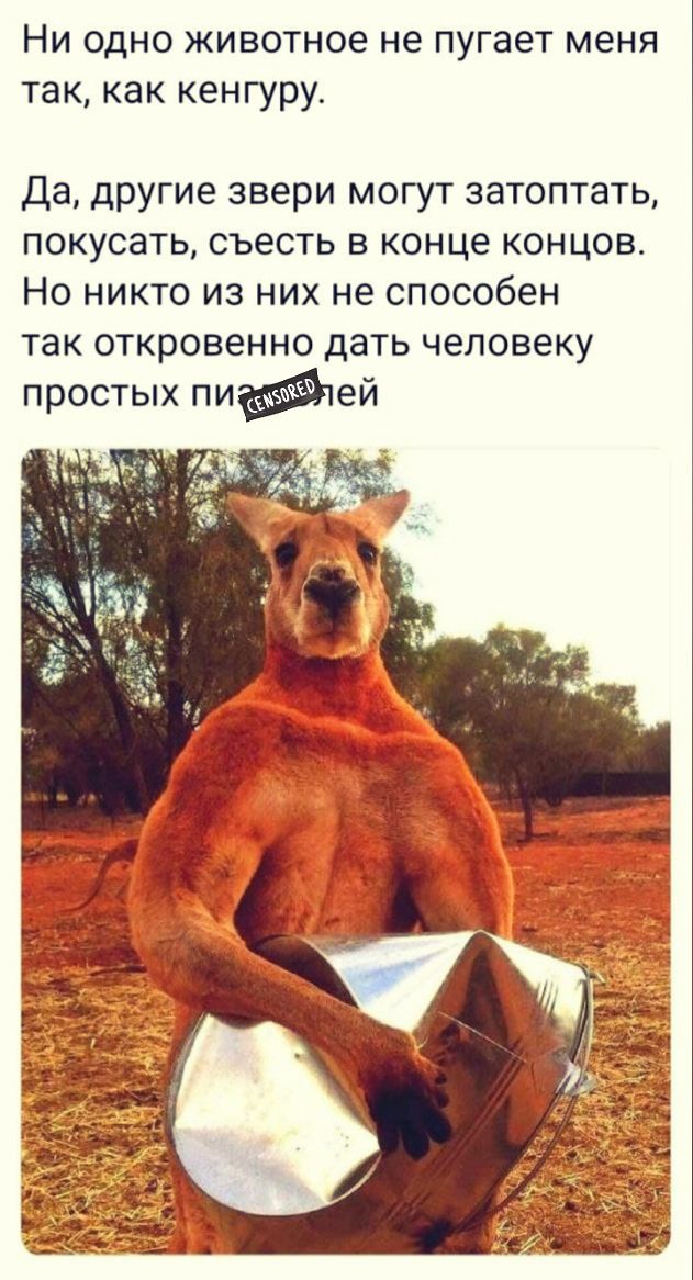 Ни одно животное не пугает меня так как кенгуру Да другие звери могут затоптать покусать съесть в конце концов Но никто из них не способен так откровенно дать человеку