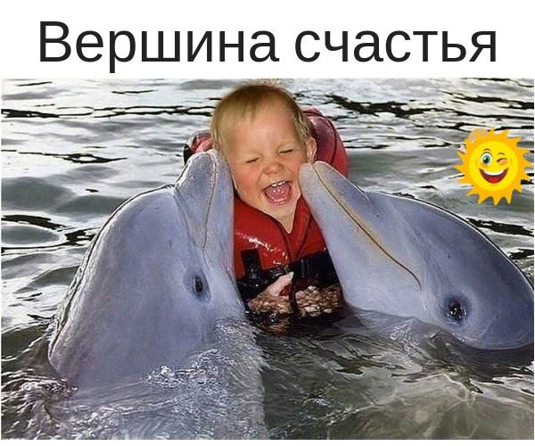 Вершина счастья