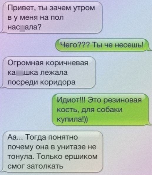 Привет ты зачем утром в у меня на пол наодала Огромная коричневая ка шка лежала посреди коридора Аа Тогда понятно почему она в унитазе не тонула Только ершиком СМОГ ЗЗТОЛКЗТЬ