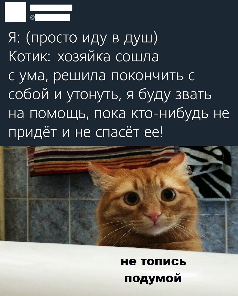 Я просто иду в душ Котик хозяйка сошла с ума решила покончить с собой и утонуть я буду звать на помощь пока ктонибудь не придёт и не спасёт ее дп _ миди не топись подумой